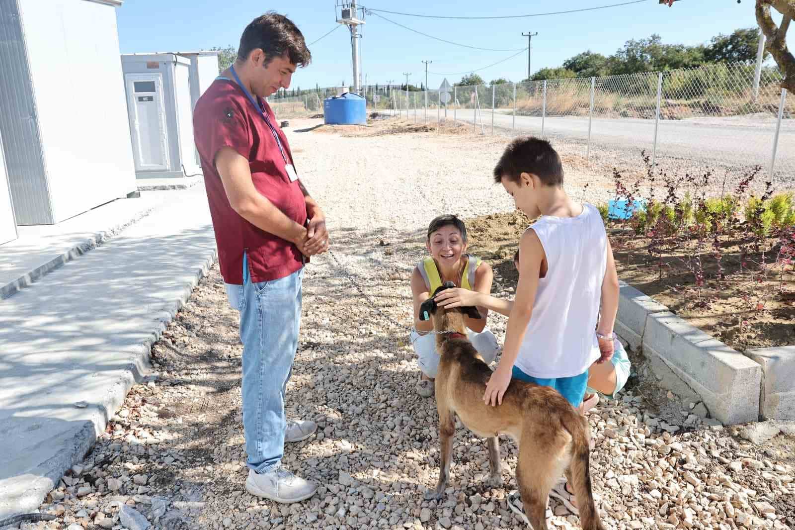 NİLÜFER BELEDİYESİ UMUT AĞACI SAHİPSİZ HAYVANLAR DOĞAL YAŞAM VE SAHİPLENDİRME MERKEZİ'NDE KORUMA ALTINDA BULUNAN 4 YAŞINDAKİ BELÇİKA KURDU CİNSİ "UMUT", HAYVANSEVER SEVİL AY TARAFINDAN SAHİPLENİLDİ.