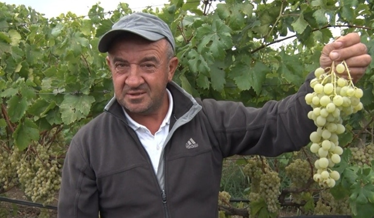 İZNİK ÇAMDİBİ MAHALLESİ MUHTARI VE ÜZÜM ÜRETİCİSİ HALİL KÜÇÜKER, ARACILAR NEDENİYLE ÜRETİCİ İLE TÜKETİCİ ARASINDAKİ FİYAT FARKINA DİKKAT ÇEKEREK ŞUNLARI SÖYLEDİ: "TÜKETİCİ UCUZA YESİN BİZ ONU İSTİYORUZ. BİZDEN 30 LİRAYA ALDIKLARI ÜRÜNÜ 100 LİRAYA SATMASINLAR, 40-50 LİRAYA SATSINLAR VATANDAŞLAR UCUZA YESİN. MAHSUL DALINDA KALMASIN. YÜZDE 200 KAZANMAK DA NE DEMEK. O KADAR KAZANILMASIN, HERKES YESİN."