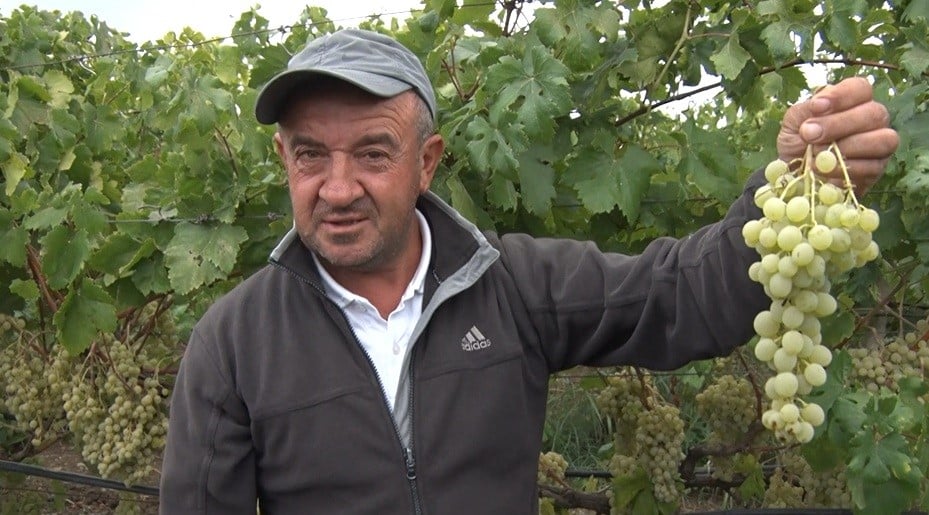 İZNİK ÇAMDİBİ MAHALLESİ MUHTARI VE ÜZÜM ÜRETİCİSİ HALİL KÜÇÜKER, ARACILAR NEDENİYLE ÜRETİCİ İLE TÜKETİCİ ARASINDAKİ FİYAT FARKINA DİKKAT ÇEKEREK ŞUNLARI SÖYLEDİ: "TÜKETİCİ UCUZA YESİN BİZ ONU İSTİYORUZ. BİZDEN 30 LİRAYA ALDIKLARI ÜRÜNÜ 100 LİRAYA SATMASINLAR, 40-50 LİRAYA SATSINLAR VATANDAŞLAR UCUZA YESİN. MAHSUL DALINDA KALMASIN. YÜZDE 200 KAZANMAK DA NE DEMEK. O KADAR KAZANILMASIN, HERKES YESİN."