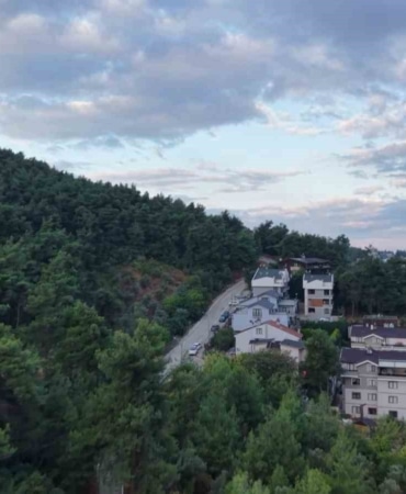 BURSA’NIN NİLÜFER İLÇESİNE BAĞLI ÇALI MAHALLESİ’NDE, YERLEŞİM ALANINA YAKIN BÖLGEDE 3 AYININ GÖRÜLDÜĞÜ BİLDİRİLDİ.