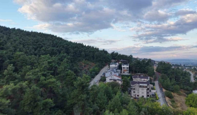 BURSA’NIN NİLÜFER İLÇESİNE BAĞLI ÇALI MAHALLESİ’NDE, YERLEŞİM ALANINA YAKIN BÖLGEDE 3 AYININ GÖRÜLDÜĞÜ BİLDİRİLDİ.