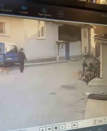 BURSA'NIN ORHANGAZİ İLÇESİNDE MEYDANA GELEN OLAYDA YAŞLI BİR ADAM, YOLDA YÜRÜRKEN KENDİSİNİ MOTORLU TESTERE İLE KORKUTAN KADINDAN KAÇARKEN YERE DÜŞTÜ. O ANLAR GÜVENLİK KAMERASINA YANSIRKEN AİLE JANDARMAYA GİDEREK ŞİKAYETÇİ OLDU.