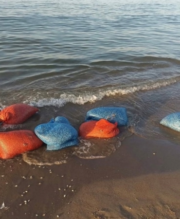MUDANYA İLÇE TARIM MÜDÜRLÜĞÜ VE SAHİL GÜVENLİK EKİPLERİ TARAFINDAN EĞERCE VE MESUDİYE MAHALLESİ SAHİLİNDE, İLÇE TARIM MÜDÜRLÜĞÜNÜN TEKNİK PERSONELLERİ VE SAHİLLERİNDE MÜŞTEREK DENETİM GERÇEKLEŞTİRİLDİ.