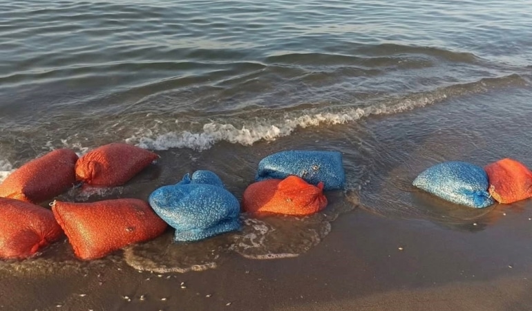 MUDANYA İLÇE TARIM MÜDÜRLÜĞÜ VE SAHİL GÜVENLİK EKİPLERİ TARAFINDAN EĞERCE VE MESUDİYE MAHALLESİ SAHİLİNDE, İLÇE TARIM MÜDÜRLÜĞÜNÜN TEKNİK PERSONELLERİ VE SAHİLLERİNDE MÜŞTEREK DENETİM GERÇEKLEŞTİRİLDİ.