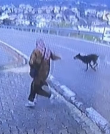 KAÇARKEN YÜKSEKTEN ATLAYAN ÇOCUK DÜŞEREK BACAĞINI KIRARKEN, YAŞANANLAR KAMERAYA YANSIDI.