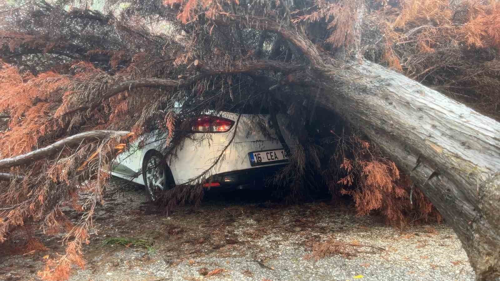 BURSA'DA ŞİDDETLİ YAĞIŞIN ETKİSİYLE DEVRİLEN AĞAÇ, PARK HALİNDEKİ OTOMOBİLİN ÜZERİNE DÜŞTÜ. BELEDİYE EKİPLERİ AĞACI KESEREK KALDIRDI. GÖKÇİN ÖDÜL/BURSA-İHA