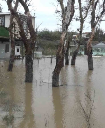 BURSA’NIN MUDANYA İLÇESİ ESENCE MAHALLESİ’NDE ETKİLİ OLAN SAĞANAK YAĞIŞ SEBEBİYLE DERELERİN TAŞMASI SONUCU EVLER VE İŞ YERLERİ SULAR ALTINDA KALDI. GÖLE DÖNEN KAHVEHANE İŞLETMECİSİ, "BİRAZ DAHA BÖYLE DEVAM EDERSE BALIK YETİŞTİRECEĞİZ. HER YAĞMURDA BURASI BÖYLE OLUYOR" DEDİ.