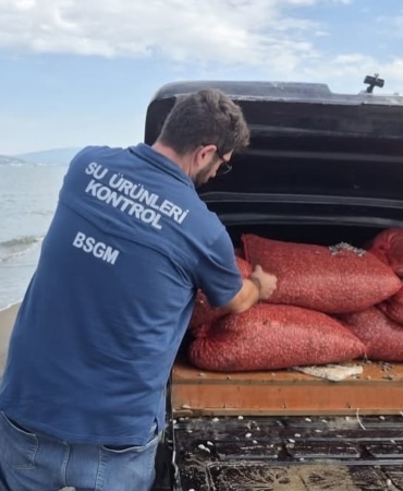 BURSA’NIN MUDANYA İLÇESİNDE YASA DIŞI SU ÜRÜNLERİ AVCILIĞINA YÖNELİK GERÇEKLEŞTİRİLEN DENETİMLERDE, YASAK ALANDA AVLANDIĞI BELİRLENEN 2 TON 760 KİLOGRAM CANLI KUM ŞIRLANI İLE KAÇAK AVCILIKTA KULLANILDIĞI TESPİT EDİLEN 17 EL DREÇİNE EL KONULDU. CANLI KUM ŞIRLANLARI DOĞAL YAŞAM ALANLARINA GERİ BIRAKILDI.