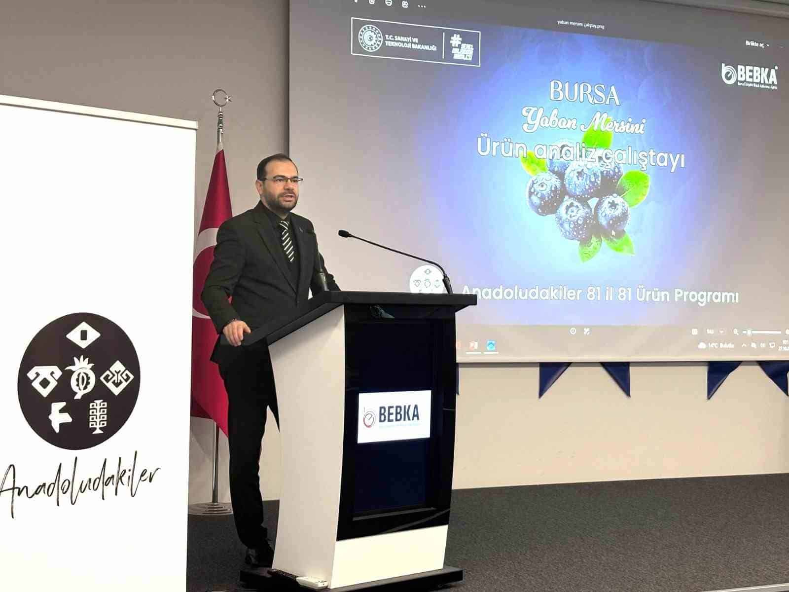 BURSA ESKİŞEHİR BİLECİK KALKINMA AJANSI (BEBKA) TARAFINDAN, "ANADOLUDAKİLER: 81 İL 81 ÜRÜN PROGRAMI" KAPSAMINDA BURSA İÇİN BELİRLENEN YABAN MERSİNİNİN ÜRETİMDEN PAZARLAMAYA UZANAN DEĞER ZİNCİRİNİN GELİŞTİRİLMESİ AMACIYLA "YABAN MERSİNİ ÜRÜN ANALİZ ÇALIŞTAYI" GERÇEKLEŞTİRİLDİ. ÇALIŞTAYDA, ÜRÜNÜN KATMA DEĞERİNİN ARTIRILMASINA YÖNELİK SORUNLAR, ÇÖZÜM ÖNERİLERİ VE İŞ BİRLİĞİ FIRSATLARI ELE ALINDI.