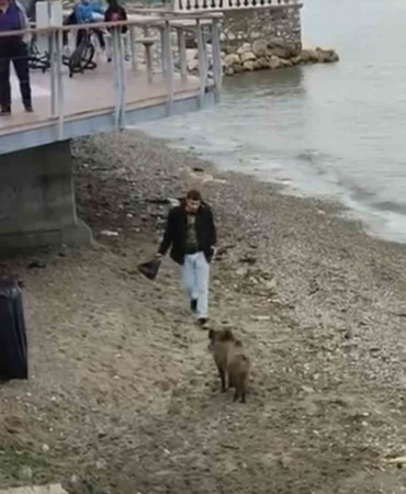 BURSA’DA AÇ KALAN DOMUZ MUDANYA SAHİLİNE İNDİ. O ANLAR ÇEVREDE BULUNAN VATANDAŞLAR TARAFINDAN CEP TELEFONU KAMERASIYLA KAYDEDİLDİ.